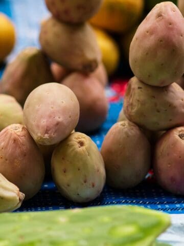 fruits that start with x featured image.