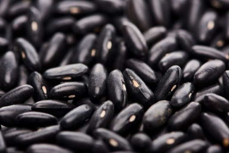 10 Black Bean Substitutes Greedy Gourmet