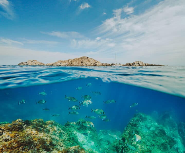 Seascape of the Mediterranean sea, rocky island and a group of fish underwater, Cap de Creus, Costa Brava, Catalonia, Spain, split view half over and under water surface