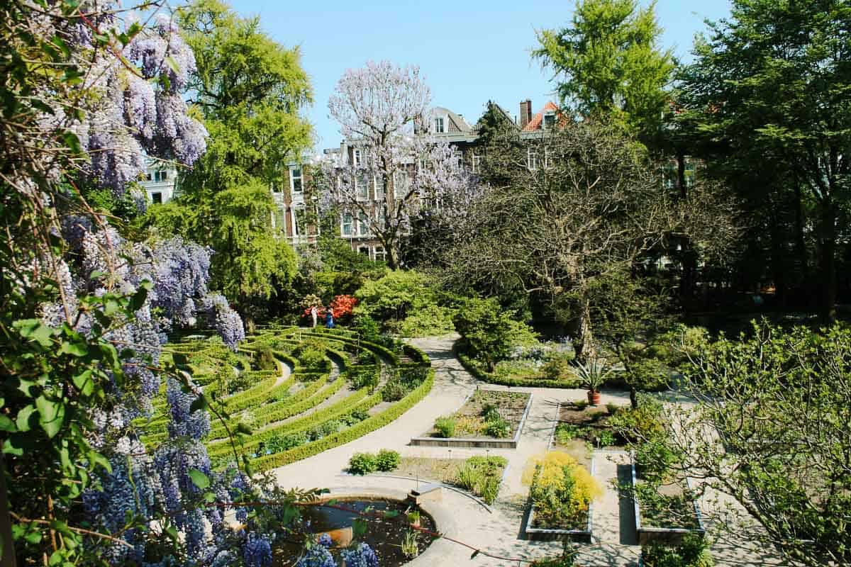 View of the plants and maze at the Hortus Botanicus.