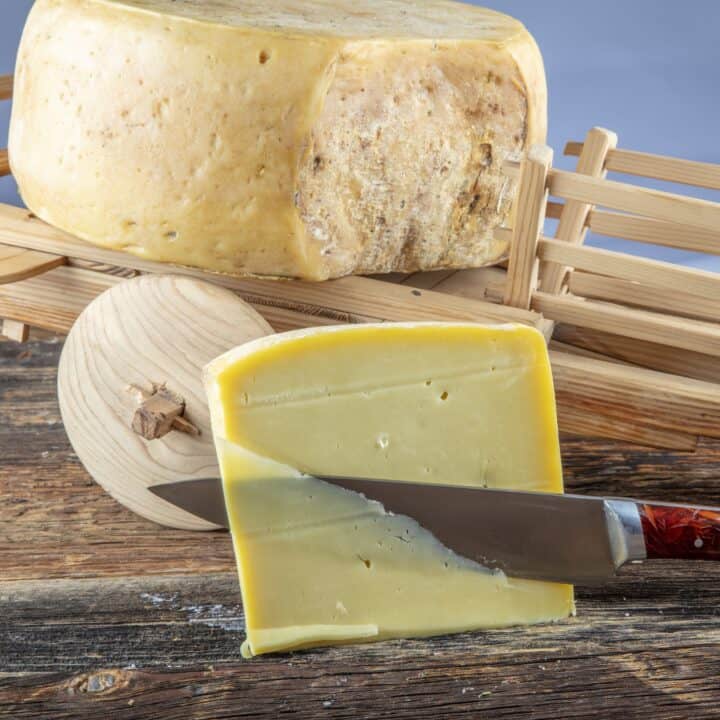 gruyere cheese substitute featured image.