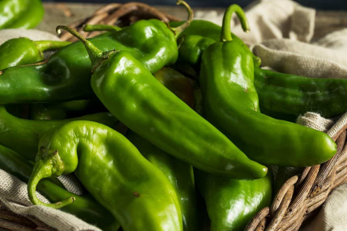 Anaheim peppers in a basket.