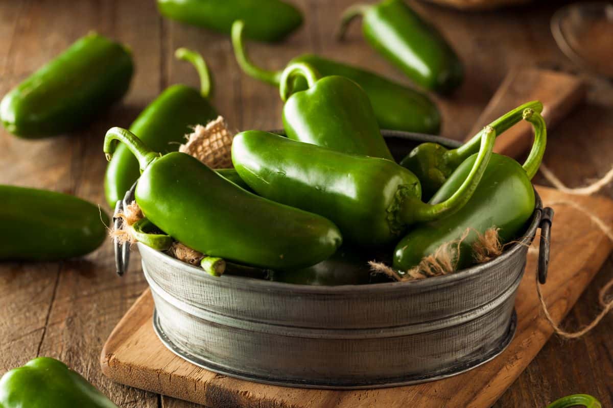 Jalapenos.