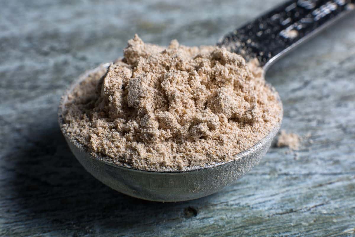 barley powder in a spoon.