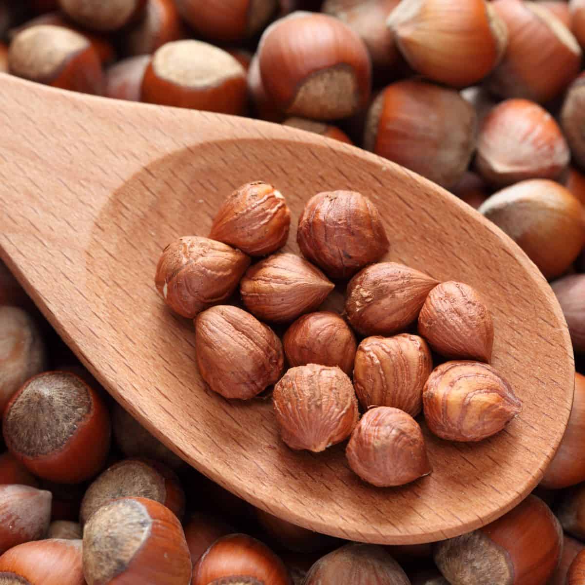 hazelnut substitutes.