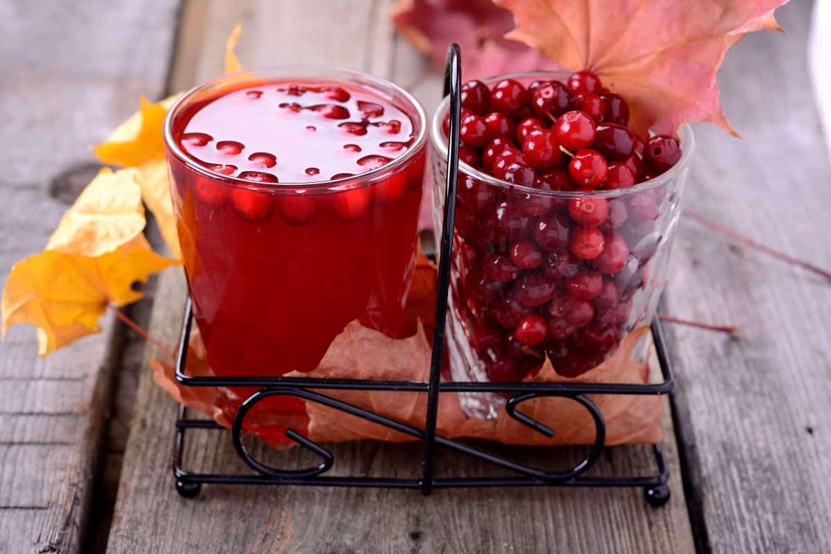 glass of lingonberry juice next to a glass of berries.