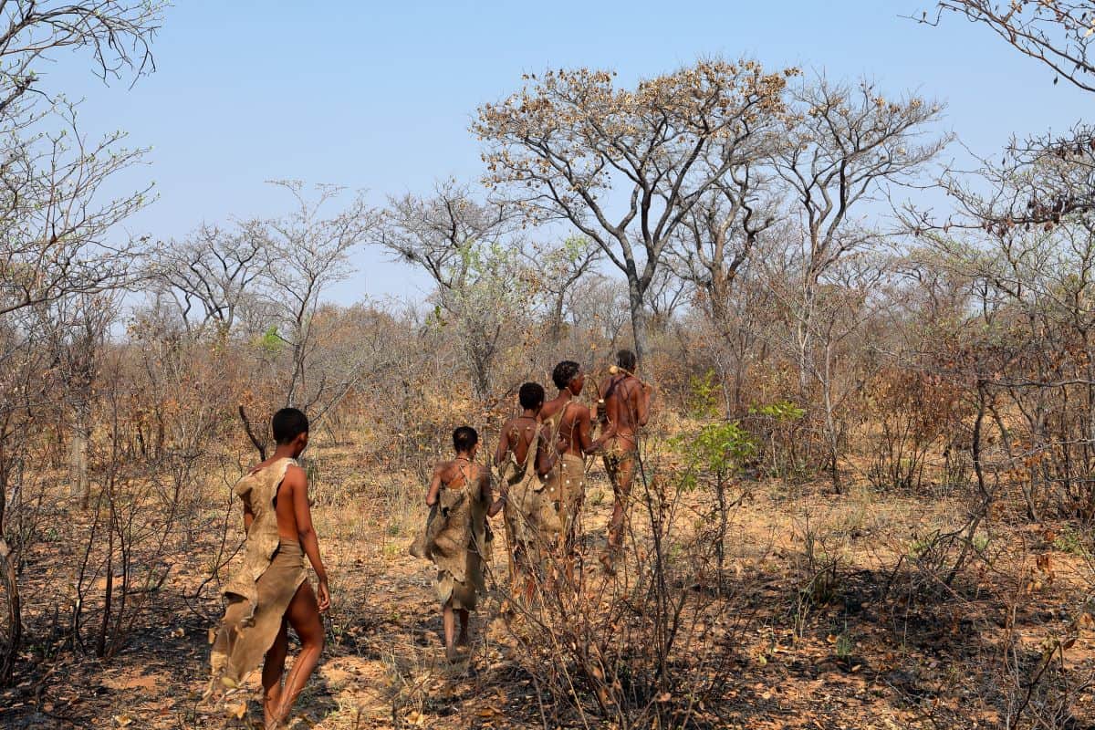 san tribe in South Africa.