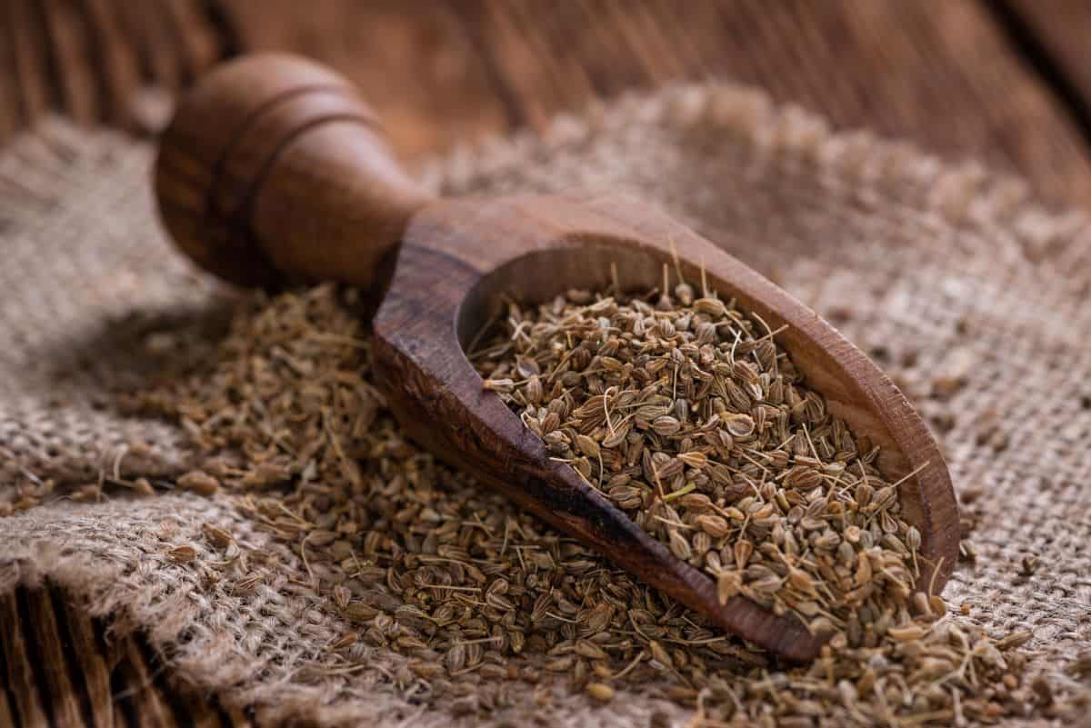 Heap of anise seeds.