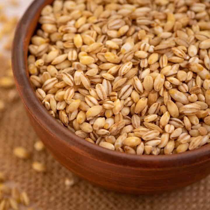 barley substitutes featured image.