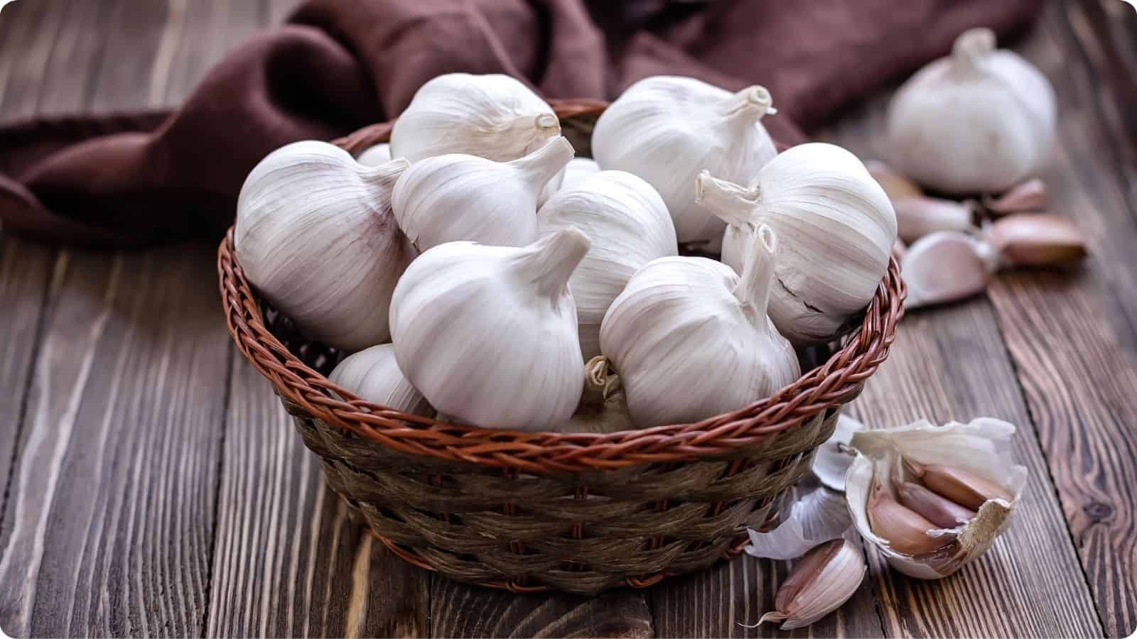 A basket filled with fresh bulbs of garlic, resting on a wooden tabletop.